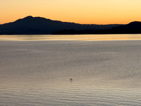 IMG_2779 Slide Show