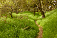 Tilden and River Bend Parks 345 copy