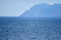 Bolinas 2-102