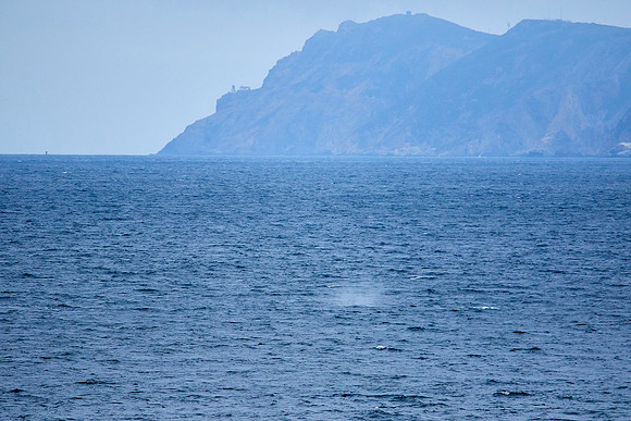 Bolinas 2-109