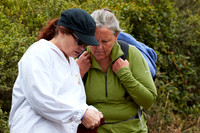 Bolinas 2-024