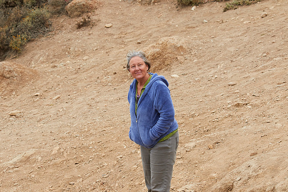 Bolinas 2-037