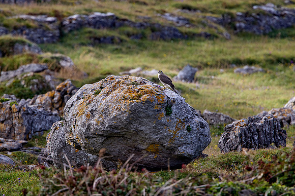 Doolin to Kinvarra 1220