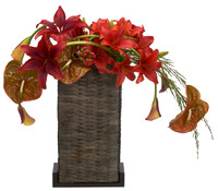 441_Warm_Lilies