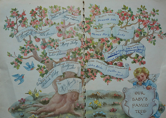 Family Tree Ken McGourty Reunion 208