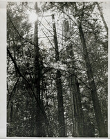 1972_Spring_Photo Essay Ayer_0012_aBill Weber handoff