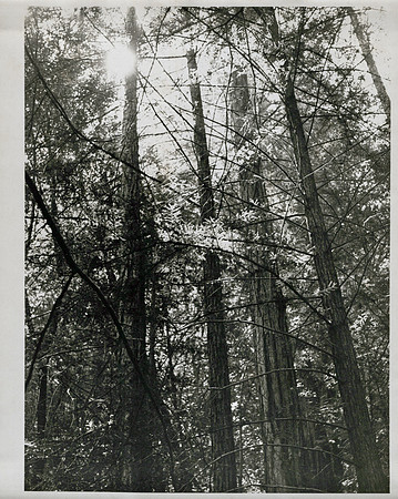 1972_Spring_Photo Essay Ayer_0012_aBill Weber handoff