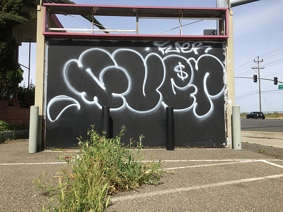 IMG_1381