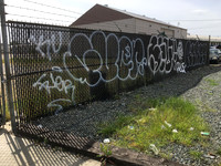 IMG_1396