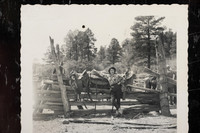 Brenda=cowgirl_001