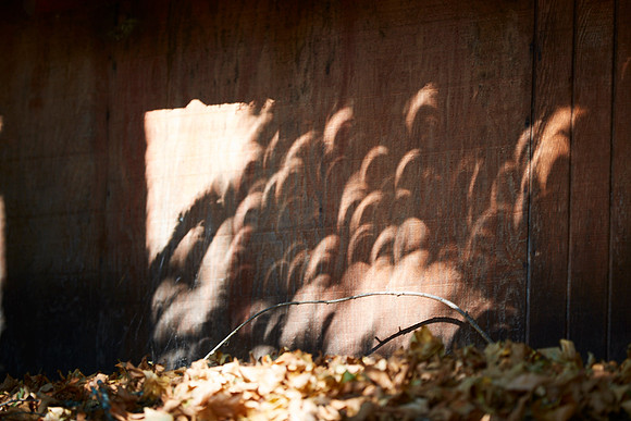 Solar Eclipse 6D  299