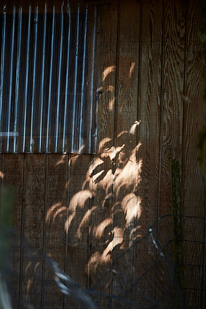 Solar Eclipse 6D  298