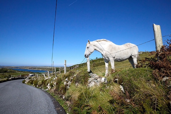 Leenaun to Clifden 459