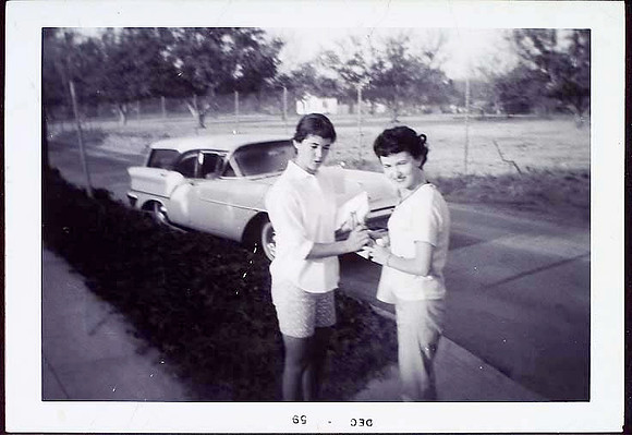 Brenda Dianna Meehan 2