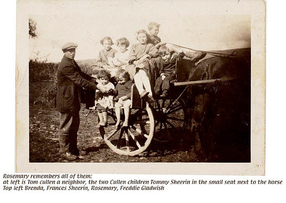 Cart in Ireland 1920's