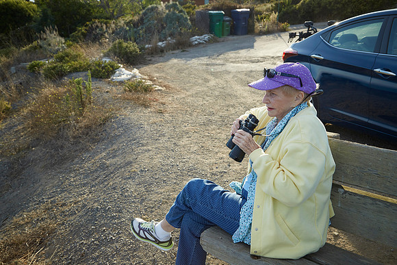 Bolinas 2014 007