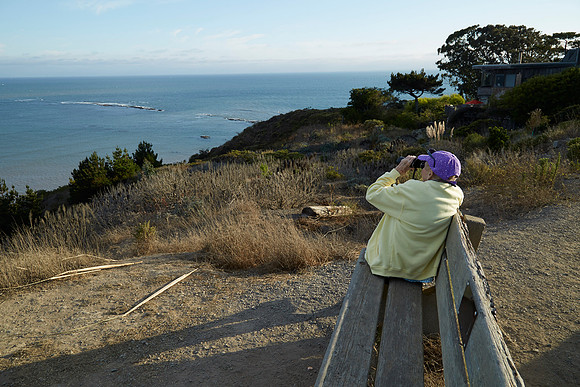 Bolinas 2014 012