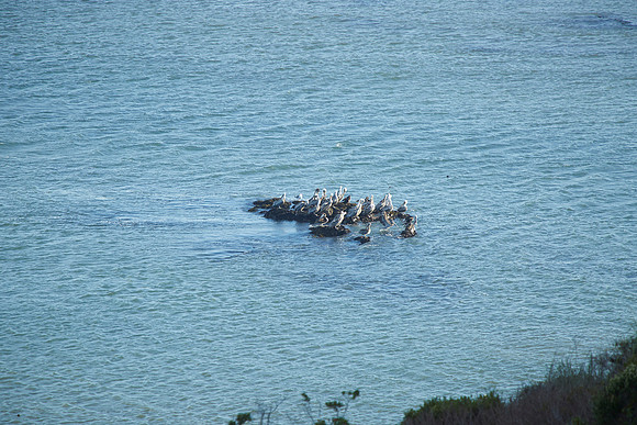 Bolinas 2014 020