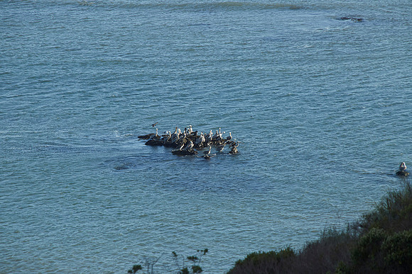 Bolinas 2014 021