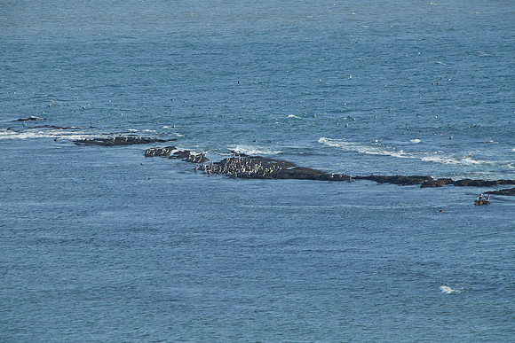 Bolinas 2014 022