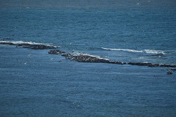 Bolinas 2014 023