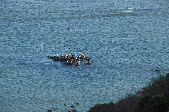 Bolinas 2014 026