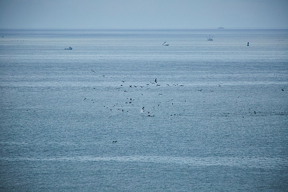 Bolinas 2014 037