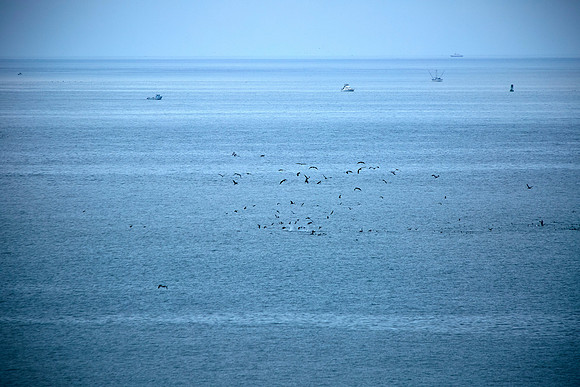Bolinas 2014 038