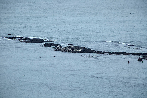 Bolinas 2014 049
