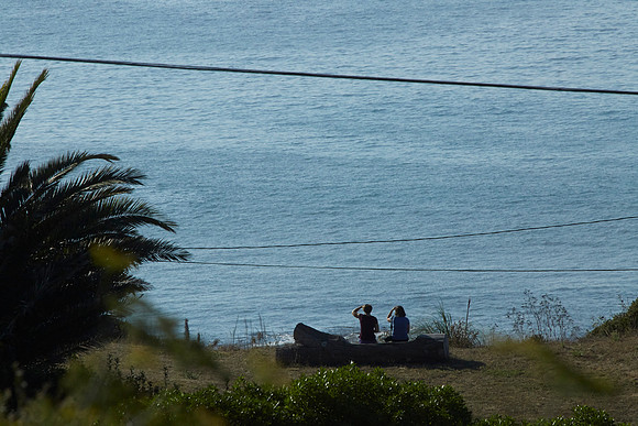 Bolinas 2014 061