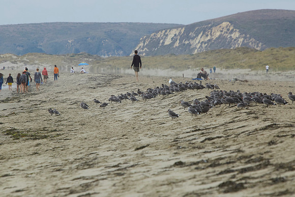 Bolinas 2014 071