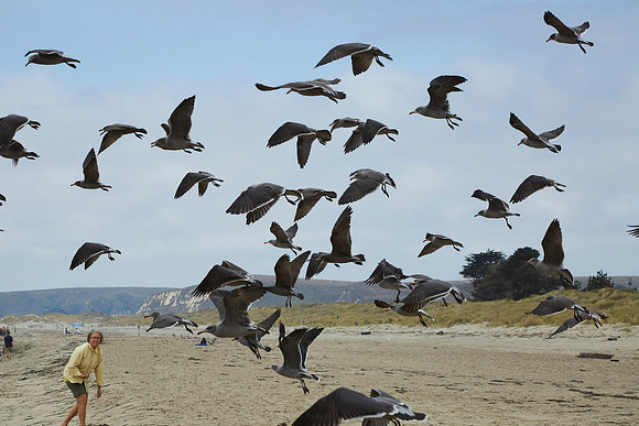 Bolinas 2014 095