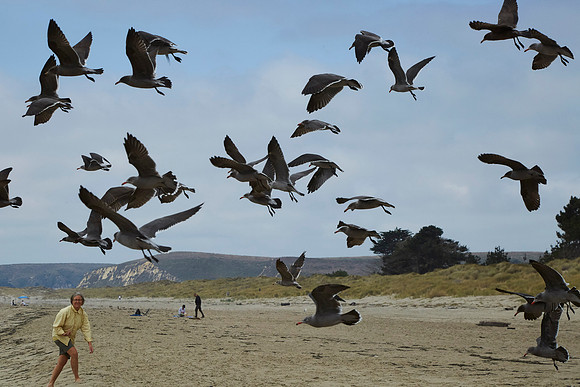 Bolinas 2014 097