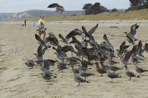 Bolinas 2014 102