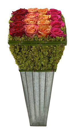 438_Warm_Rose