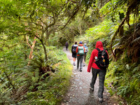 IMG_4627 -iP-NZ