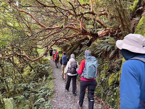 IMG_4629 -iP-NZ