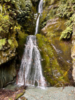 IMG_4633 -iP-NZ