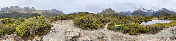 IMG_4641 -iP-NZ