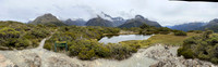 IMG_4644 -iP-NZ