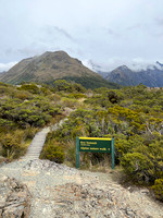 IMG_4645 -iP-NZ