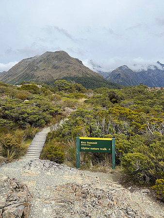 IMG_4645 -iP-NZ