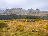 IMG_4648 -iP-NZ
