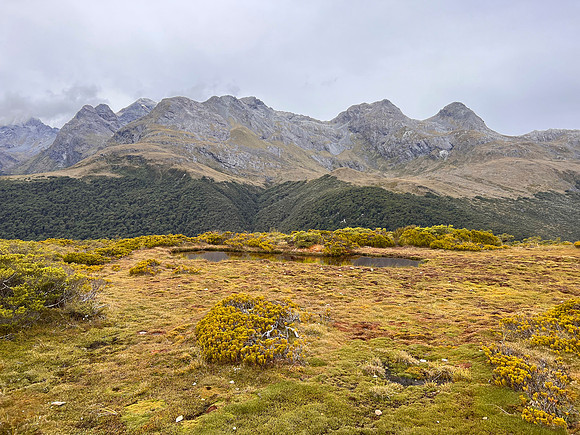 IMG_4648 -iP-NZ