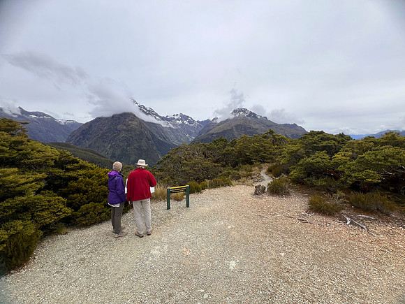 IMG_4654 -iP-NZ