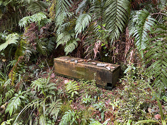 IMG_4661 -iP-NZ