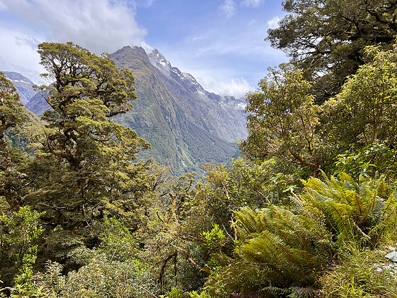 IMG_4664 -iP-NZ