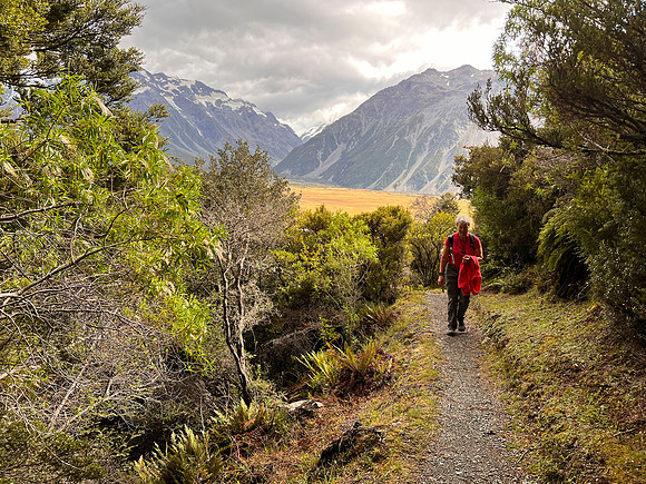 IMG_4740 -iP-NZ
