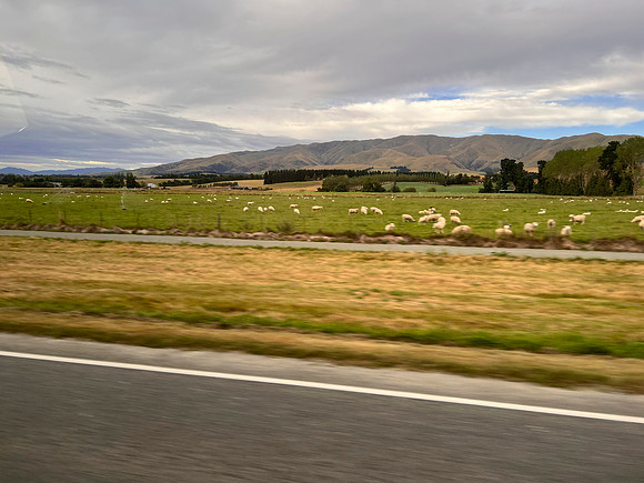 IMG_4795 -iP-NZ