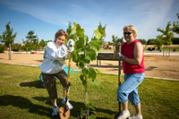 Tree Planting with Troop One 2007